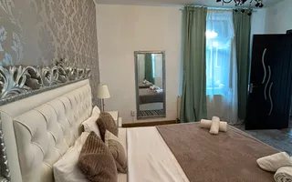APARTAMENT 2 CAMERE OPENSPACE PARCUL CAROL - TINERETULUI - Poză 13