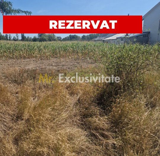 Teren Mosoaia, Lazaresti! - Poză 1