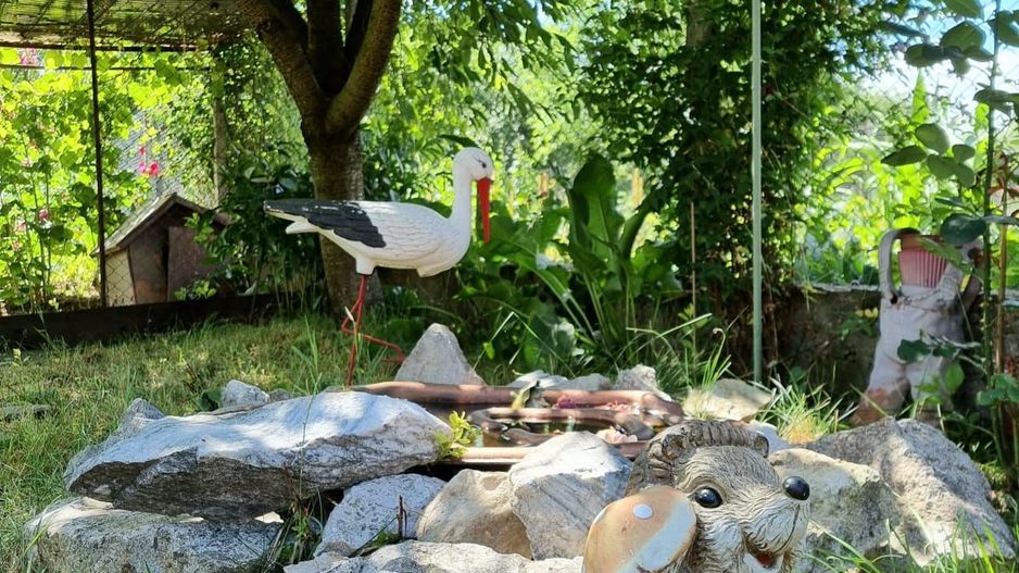 CASA+TEREN, ZONA SUD - Poză 21