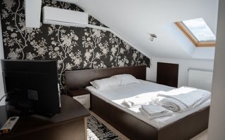 Afacere la Cheie în Turism | Pensiune  în Sânmartin - Poză 11