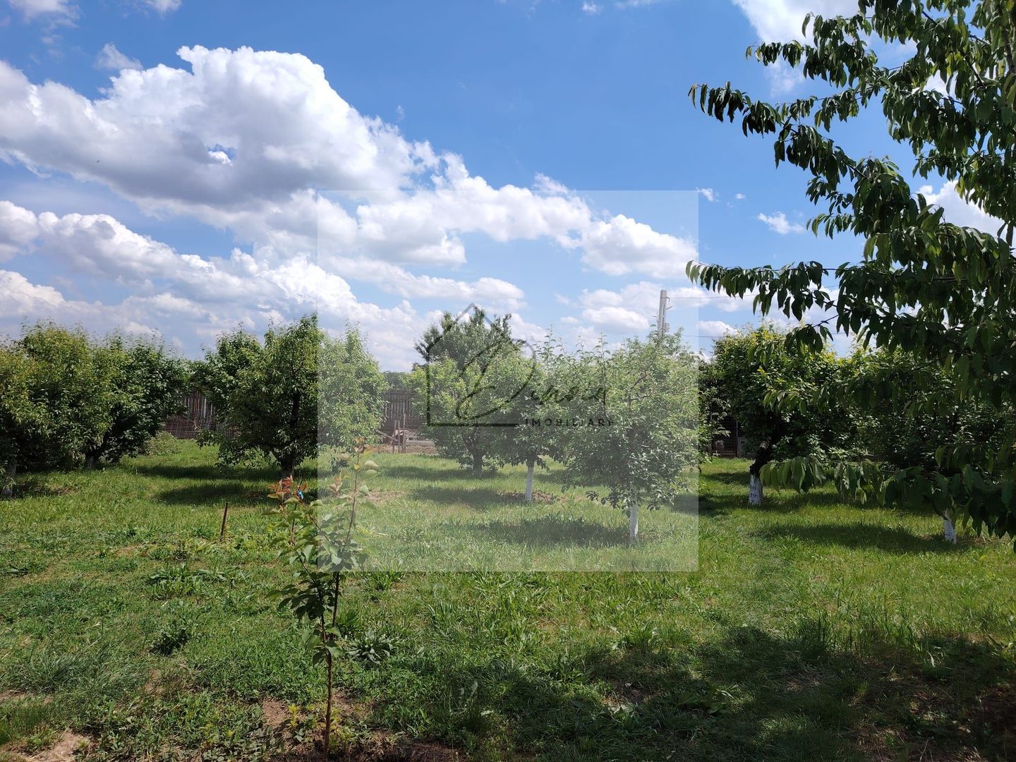 Casa Ciocanesti Cretu - 2 camere cu teren 2539 mp  - Jud. Dambovita - Poză 33