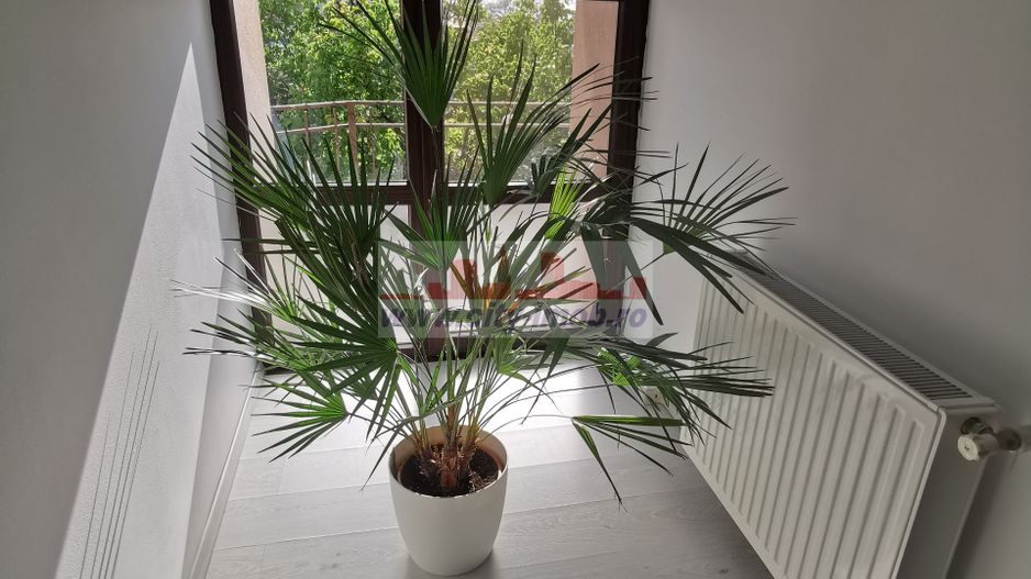 Vanzare Casa Bucurestii NOI. - Poză 34