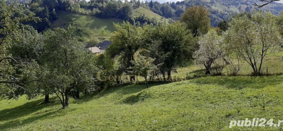 Teren Moieciu de Jos - Poză 2