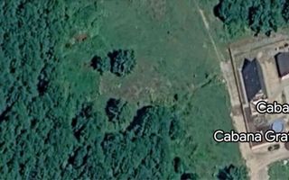 Teren extravilan 2000 mp | Valea Avrigului, Avrig | curent aproape - Poză 2