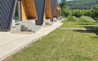 Complex din casa noua si 3 cabane, piscina încalzita 6600 mp teren - Poză 1