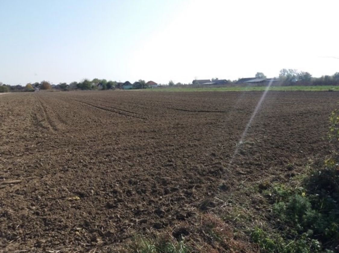 Investitie!Intravilan 55 ari capat Paulesti ( Intrare Ambud), 3.6 mf - Poză 1