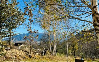 Teren Bran / Predelut cu priveliste 1840mp - Poză 8