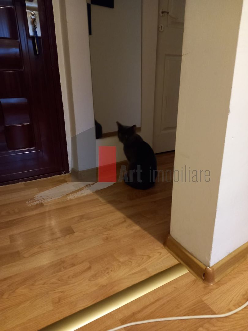 2 camere decomandat in vila Domenii - Poză 7