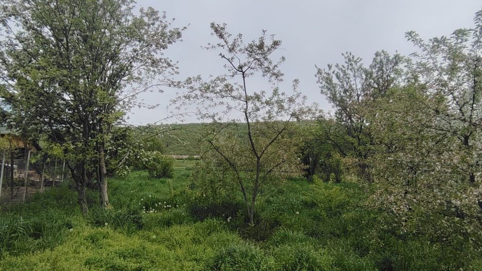 DE VANZARE CASA 5CAMERE ZONA CENTRALA TALMACIU - Poză 41