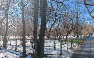 Apartament 2 camere Parcul Circului, parter, vedere spre parc - Poză 7