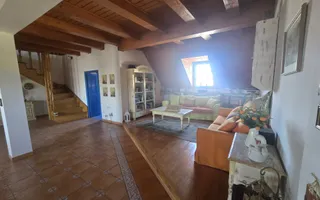 Vilă elegantă și casă independentă pentru oaspeți - Banesti - Poză 21