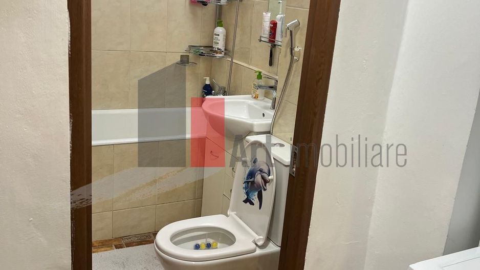 Apartament 2 camere Raul Doamnei - Poză 3