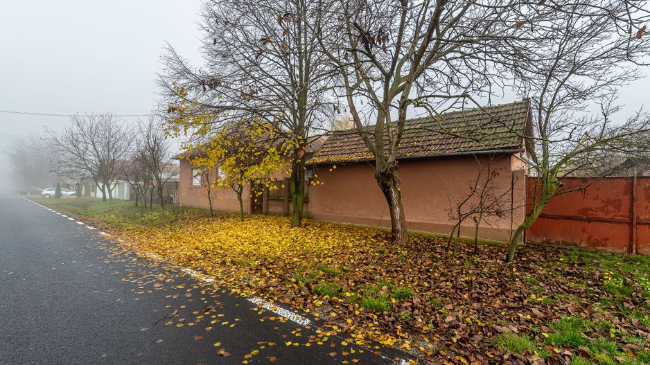 De vânzare Casă cu Grădină Generoasă in Dorobanți - Poză 2