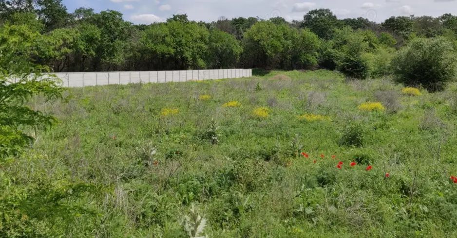 Teren Baneasa Sisesti - Poză 1