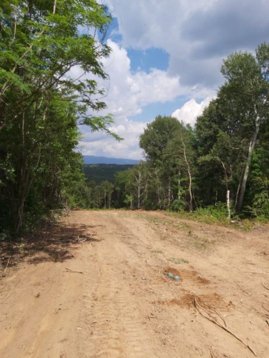 Teren zona montana in com.Turcinesti Jud.Gorj - Poză 6