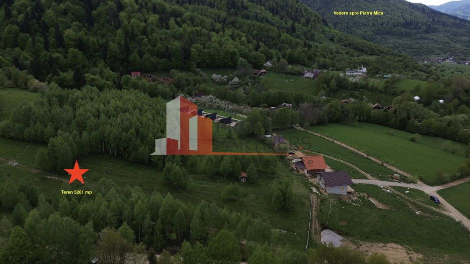 Teren intravilan 5.261 mp Tohănița | Deschidere 49 m | Utilități, lângă pădure - Poză 6