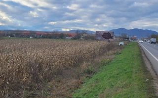 Teren intravilan 3800 mp, zona Santandrei - Poză 4