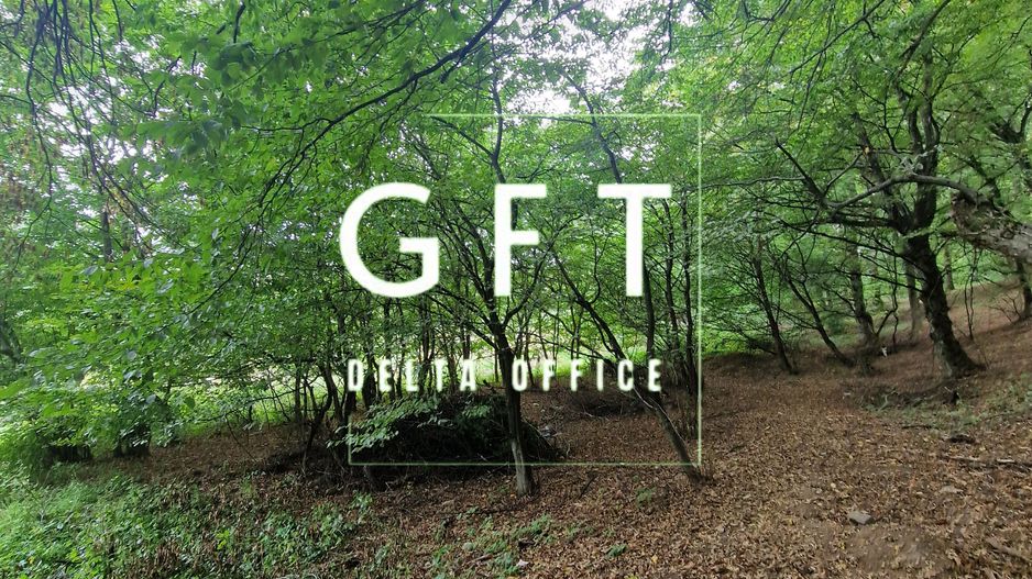 Teren Intravilan de vanzare Bistrita | 795 mp, priveliște panoramică - Poză 14