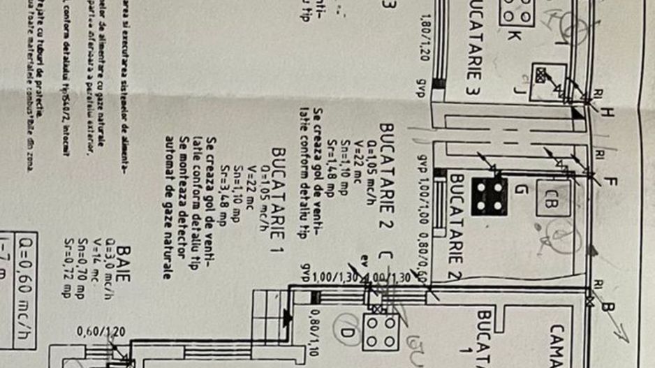 Casa cu teren 1394 mp zona Mehala - Poză 6
