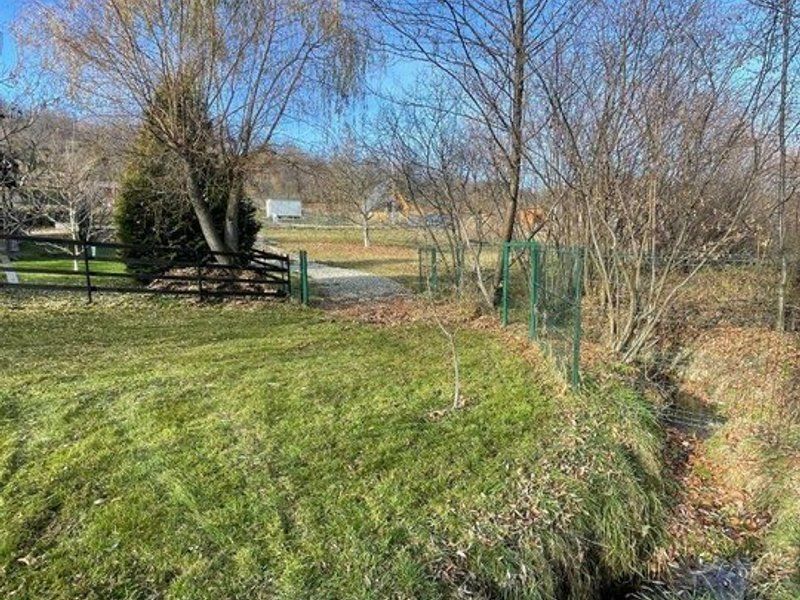 Teren 3349 mp de Vânzare | Bran – Panoramă Munții Bucegi - Poză 9