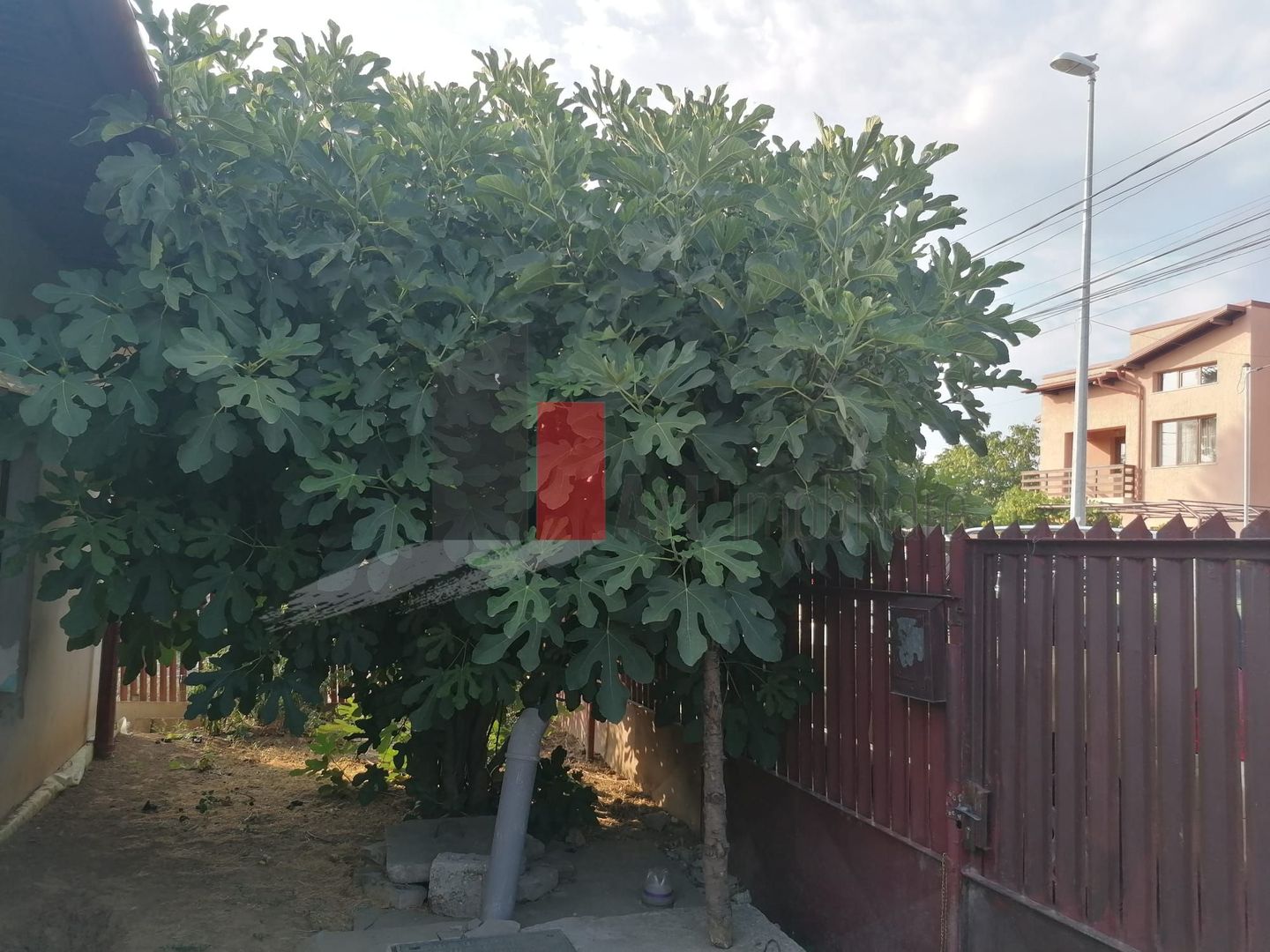 Voluntari - casa cu Teren 309 mp -  ZERO comision cumparator - Poză 7