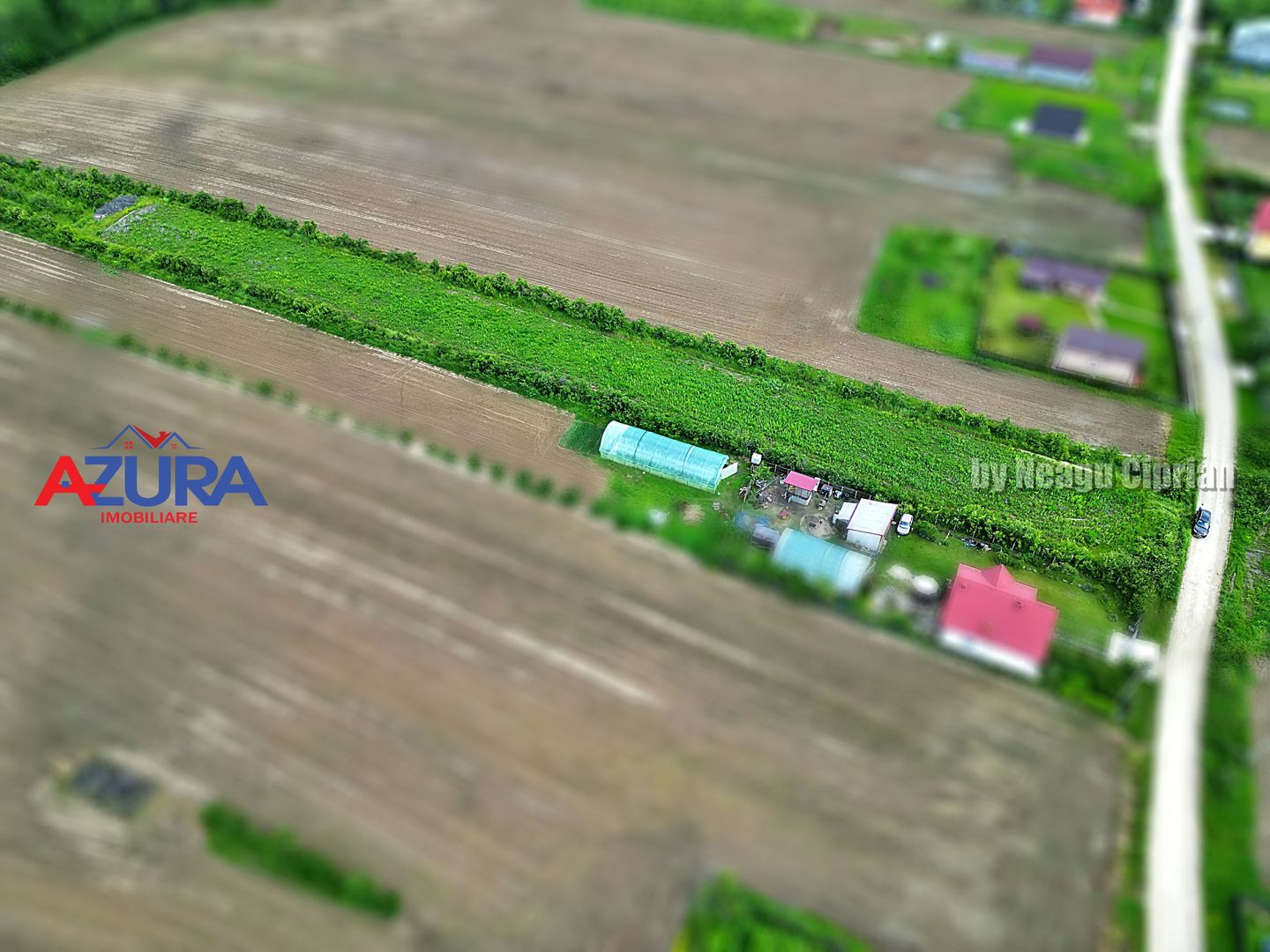 AZURA Imobiliare - Teren Mosoaia - Poză 12