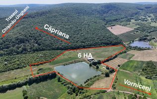 Teren de 6.2 Hectare cu Iaz propriu, lângă pădure – Vorniceni, Strășeni!