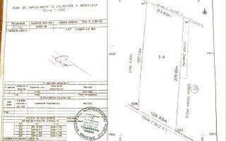 Teren extravilan Otopeni - Poză 2