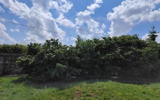 Casa Ciocanesti Cretu - 2 camere cu teren 2539 mp  - Jud. Dambovita - Poză 16