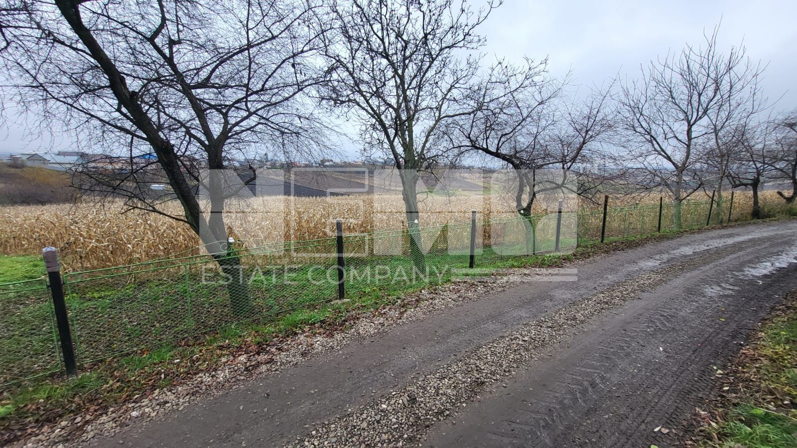 TEREN MOARA I SUCEAVA I LOC DE CASA I 20Ari I 60,000Euro - Poză 3