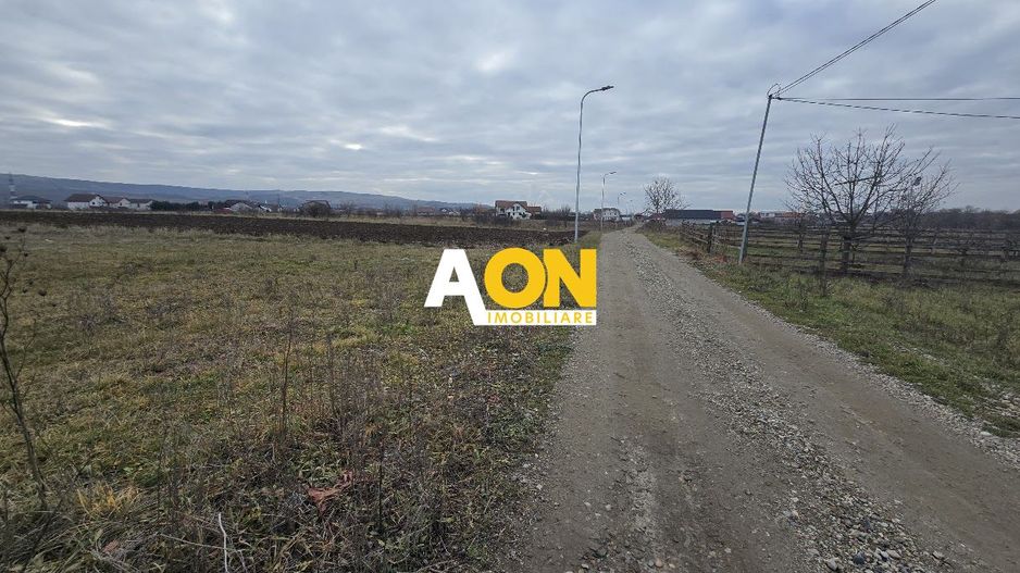 Teren Intravilan 10.000MP Zona Partos - Poză 3