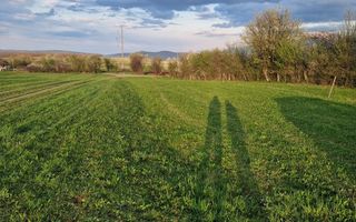 Teren | Extravilan | 3404 MP | Sadu | Oportunitate Investiții - Poză 3