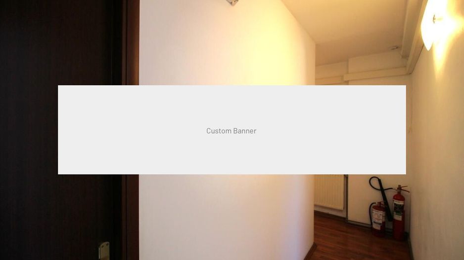 Salcamilor - Bd. Dacia, Vila renovata 223 mp utili, inchiriata! - Poză 59