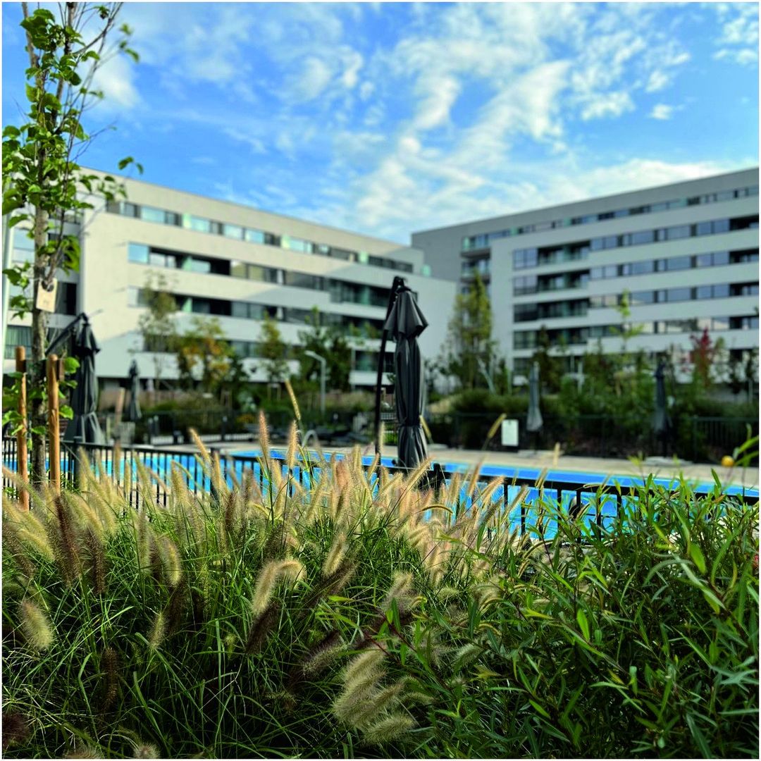 Apartament 4 camere de vanzare - Poză 4