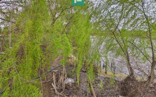 Teren 1 ha cu baltă populată – Alioș (Mașloc) - Poză 10