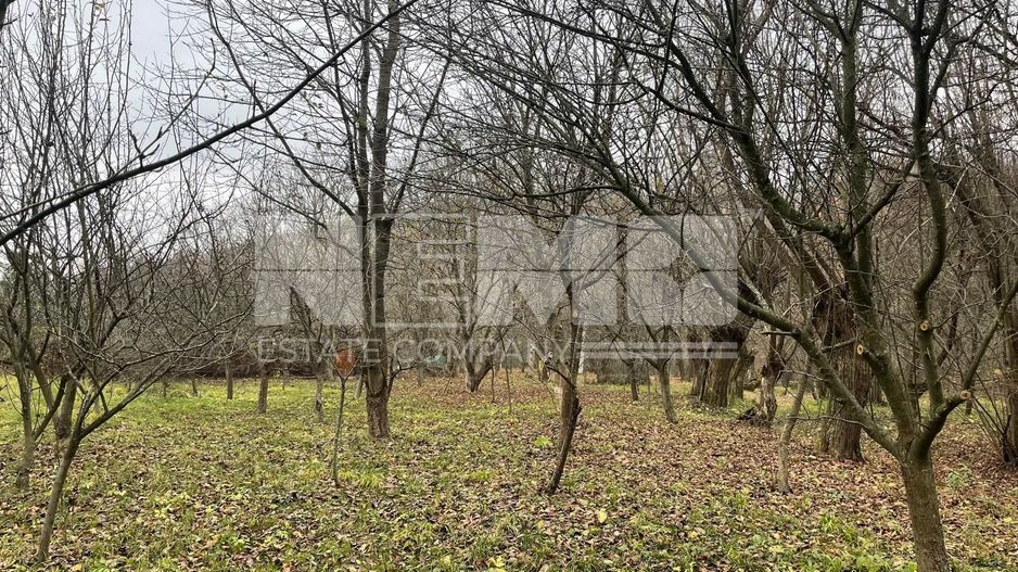 CABANA MODERNA 300 mp 🌲 - Poză 6