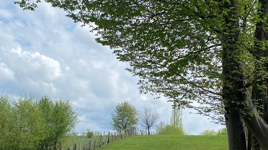 Parcele de teren intravilan cu un view superb-Tocile-Sibiu - Poză 10