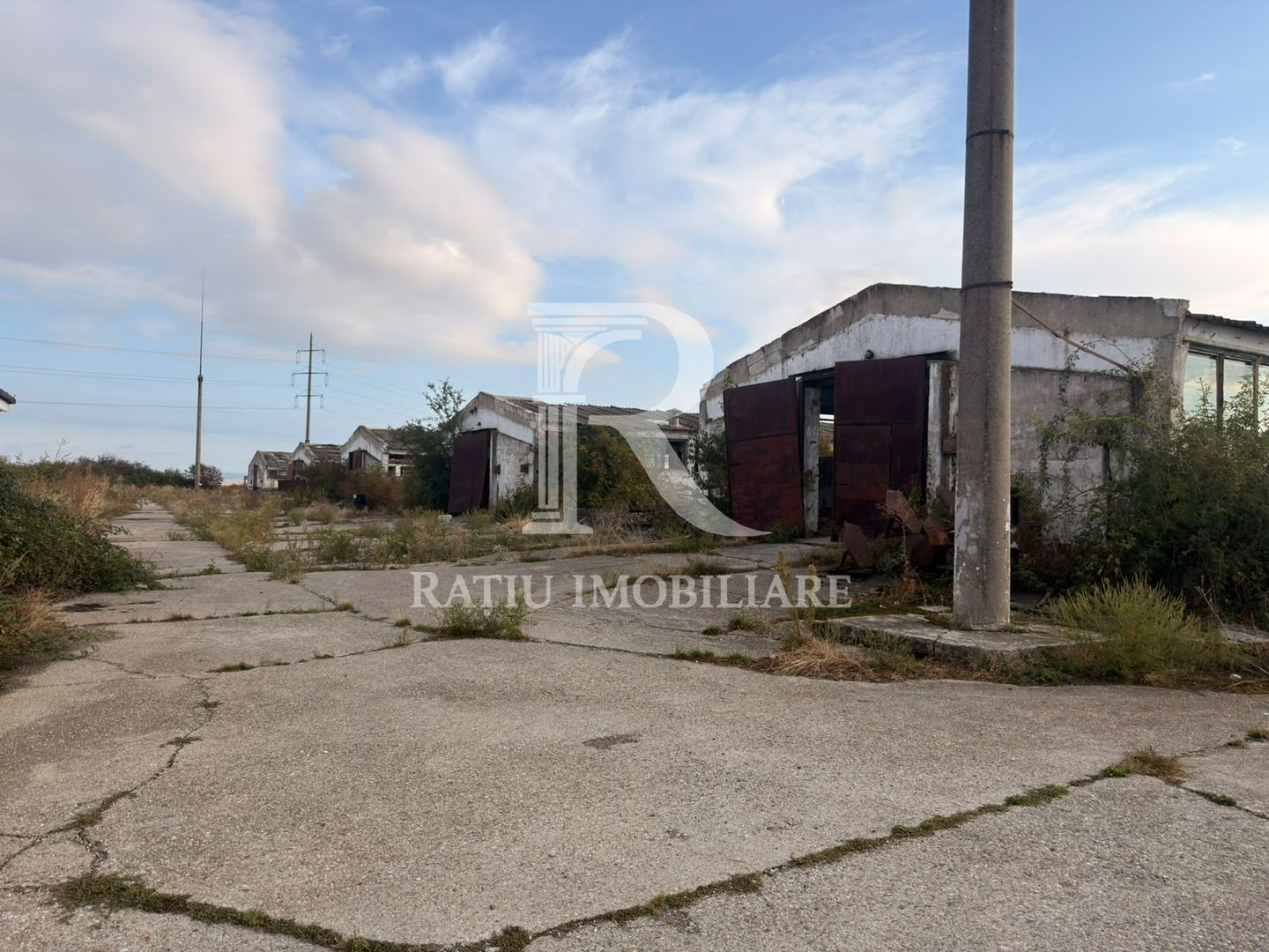 Fermă Sărand | Bihor | 25.659 mp teren intravilan - Poză 6