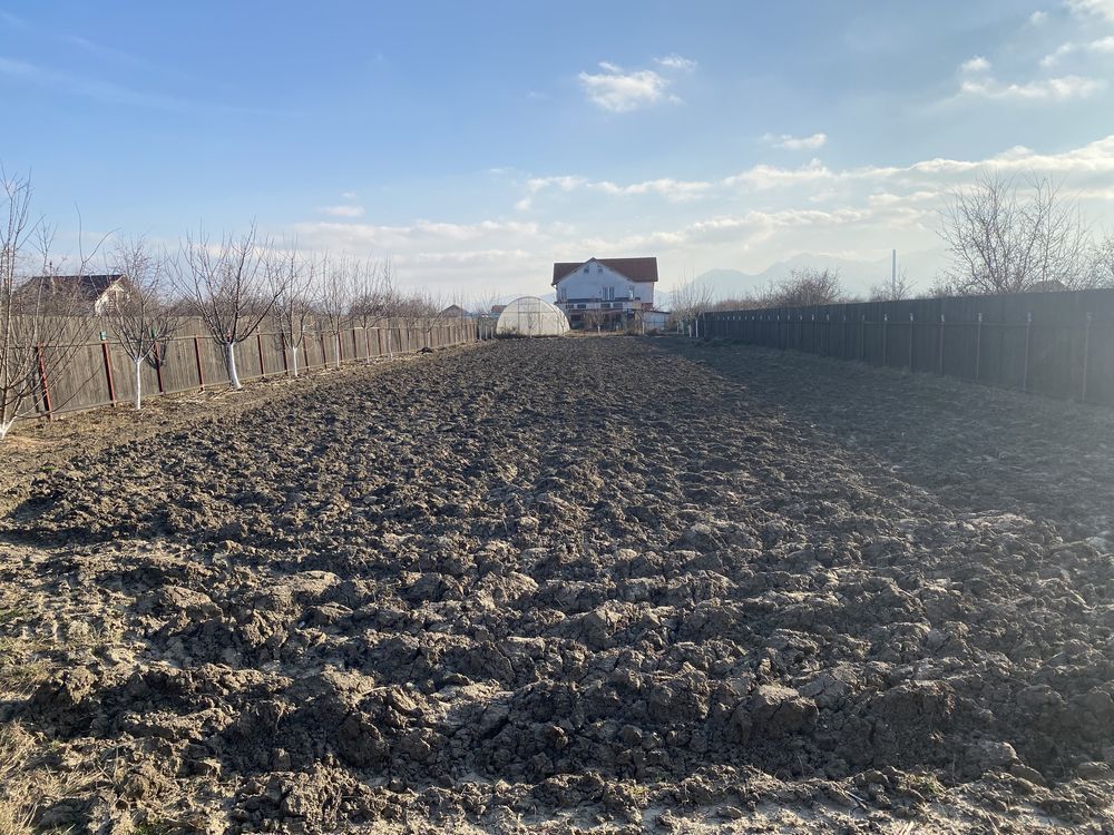 Sanpetru teren intravilan de 1350mp ingradit, 46 euro/mp - Poză 1