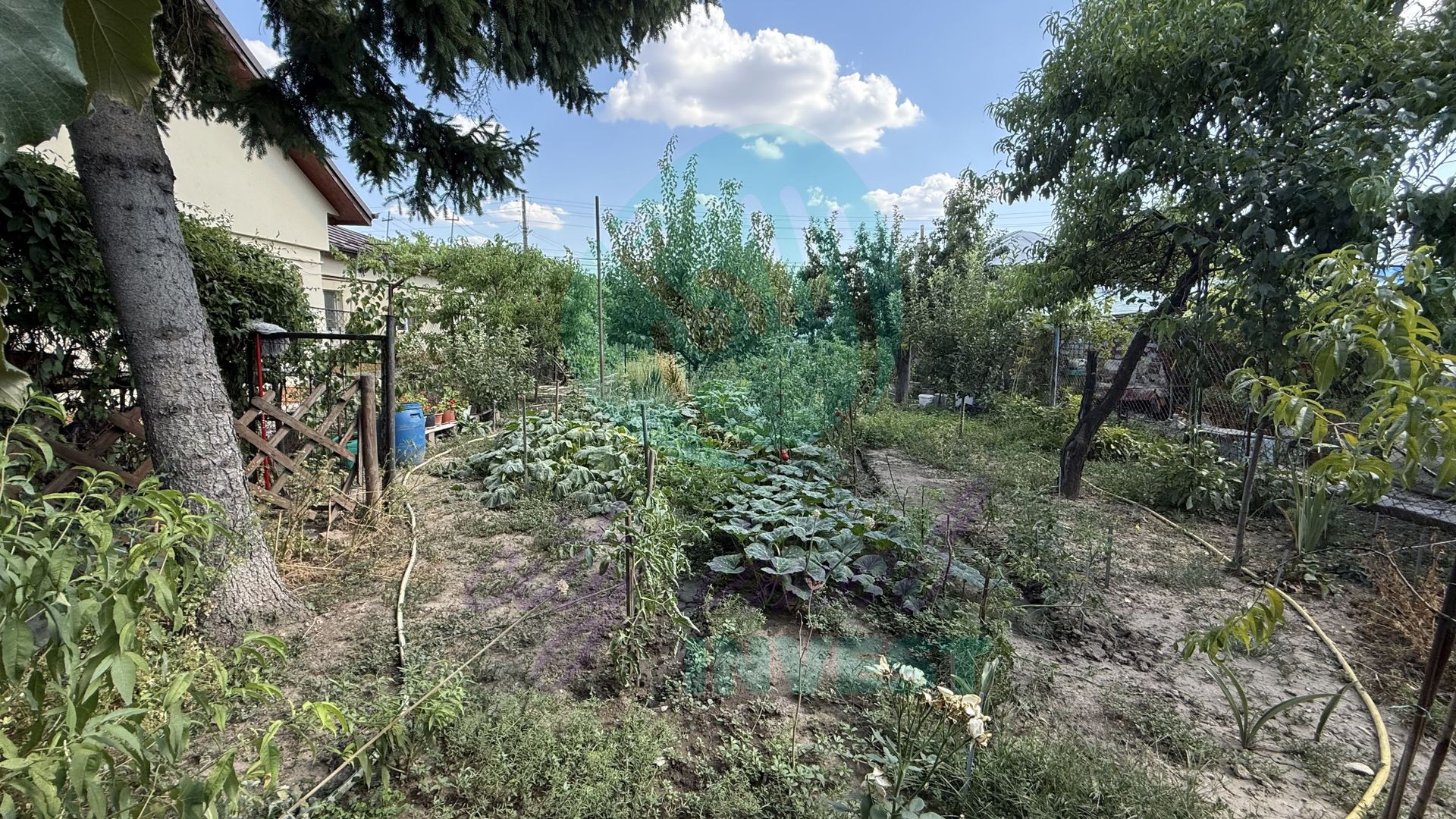 Casă parter + 1100 mp teren în Popești-Leordeni - Poză 4