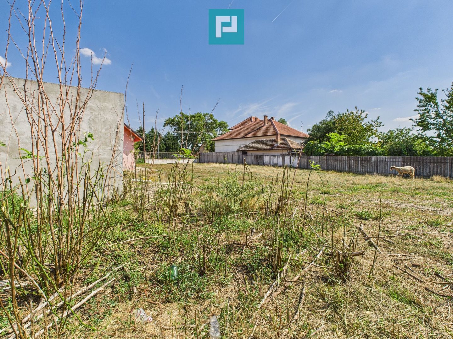 Casă/spațiu comercial pe DN79 în Zimandu Nou - Poză 17