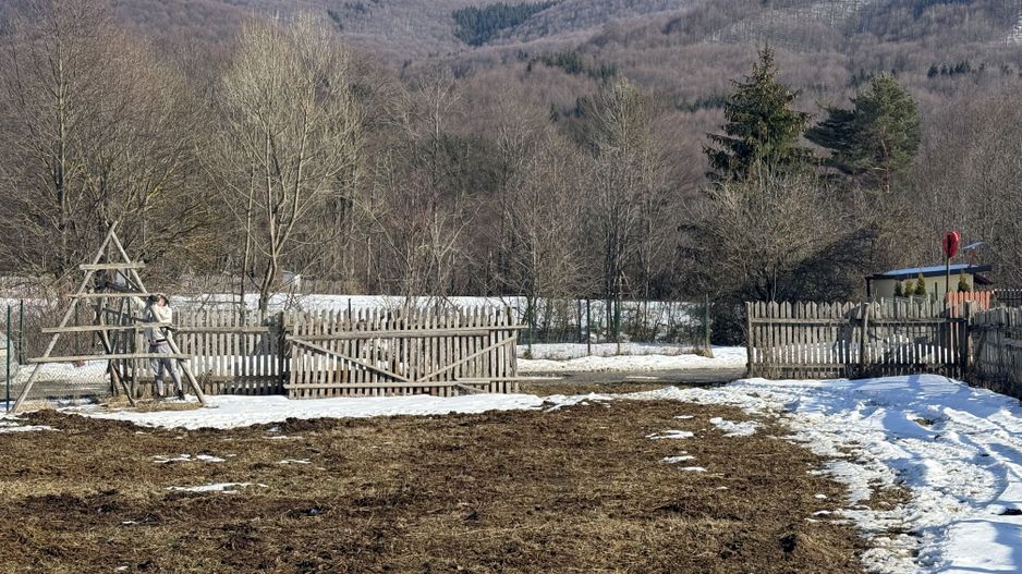 Teren intravilan 4521mp lângă pădure-valea Doftanei -Calea Brasovului - Poză 7