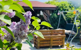 OFERTA VANDUTA - Casa Sacalaz - curte superba | 180 mp, 5 camere - Poză 7