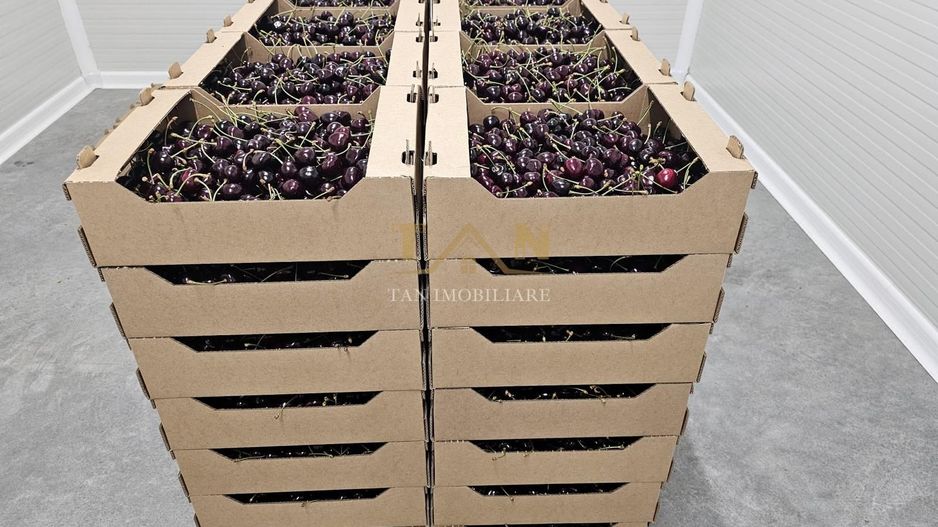 De Vânzare Afacere La Cheie ( ARAD) - Poză 15