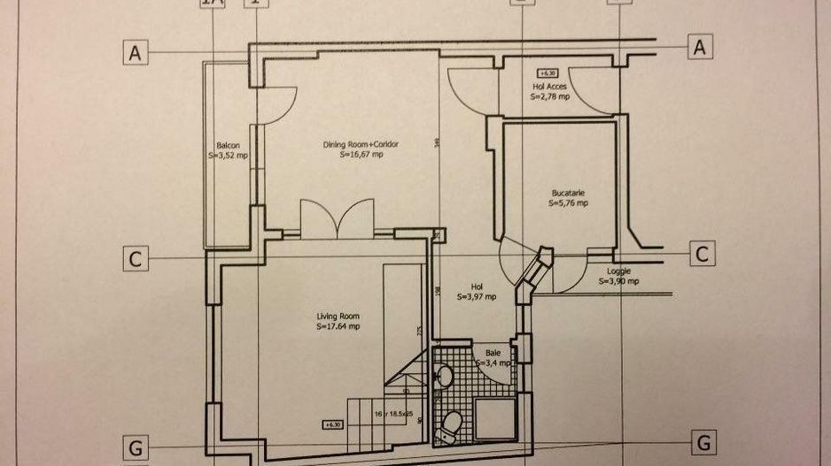 duplex in vila , Tineretului , Sincai - Poză 4