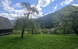 Teren | 2946MP | Priveliște Panoramică | Râu Sadului - Poză 10