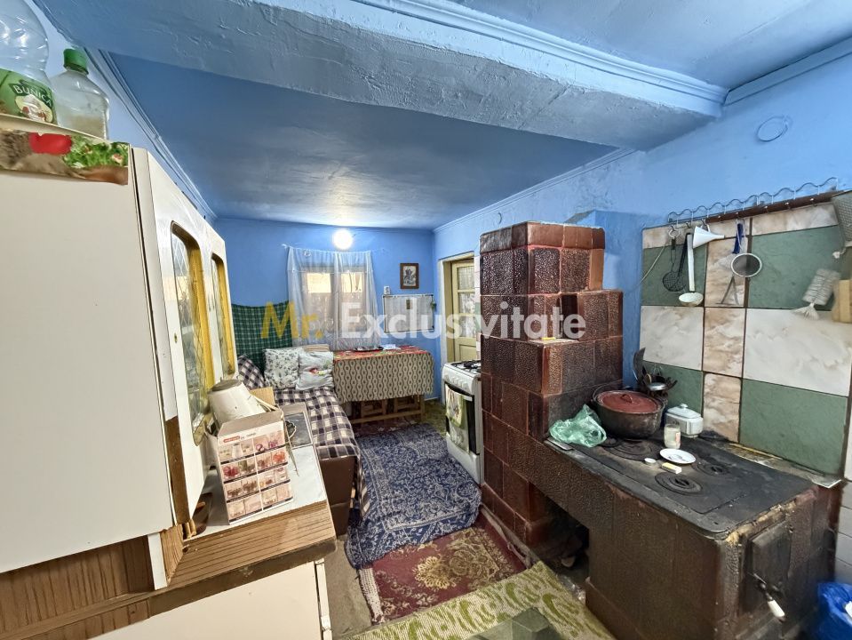 Casa Priboieni - sat Pitoi Arges - Poză 7