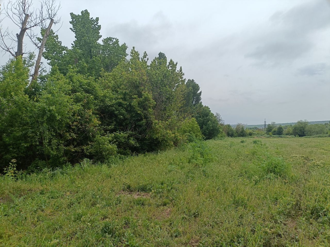 Teren pentru construcție (1.092 ha) în com. Ghidighici mun. Chișinău - Poză 7