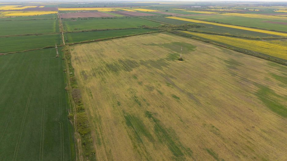 Teren investițional strategic 44.700 mp Arad Vest - Poză 14