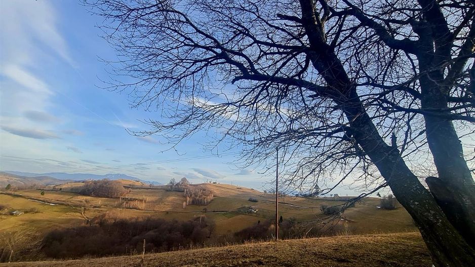 Oaza de liniste si frumusete, reconectare cu natura, 16.000 mp, Poiana Marului - Poză 15